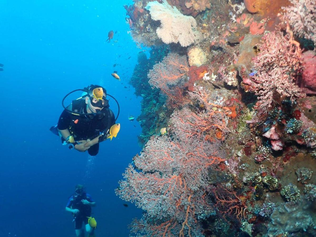 Black Sand Hostel Amed Экстерьер фото